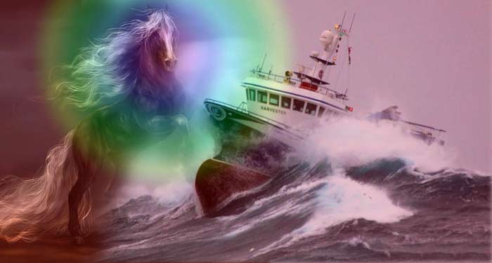 Лошадь таранит, останавливает корабль в океане